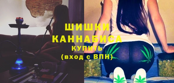 гидра Няндома
