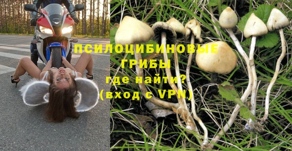 меф Алексин