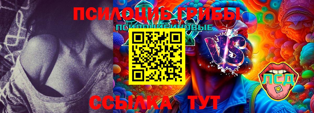 Галлюциногенные грибы Magic Shrooms Иркутск