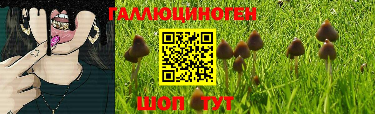 Псилоцибиновые грибы Psilocybine cubensis  Вход с VPN  Псилоцибиновые грибы MAGIC MUSHROOMS  Иркутск 